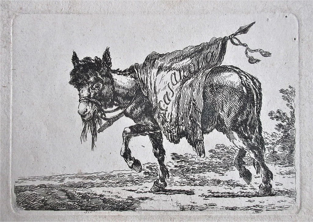 Asino e bandiera